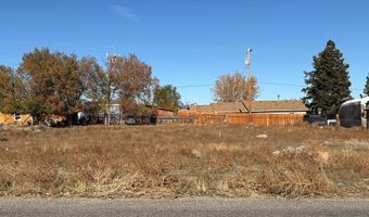 1110 E Valley Ave, Challis, ID 83226
