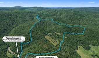 700 Acres Puncheon Creek Ln, Allred, TN 38542