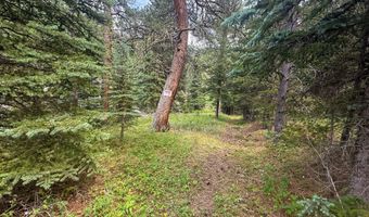 TBD County Road 59, Allenspark, CO 80510
