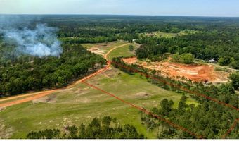 NHN Lot 1 Lenora Dr, Carriere, MS 39426