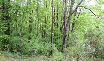 770 Sutton Rd, Anderson Twp., OH 45230