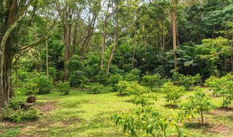 HAUIKI RD, Kapaa, HI 96746