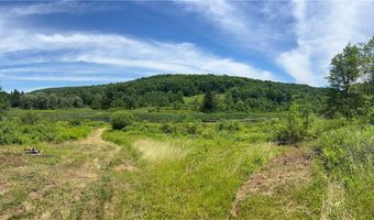 0 Woodland Hills Rd, Andes, NY 13731
