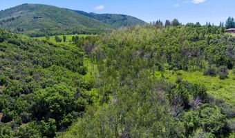 Trentaz Drive, Aspen, CO 81611