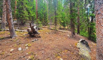 1013 RANGE Rd, Breckenridge, CO 80424
