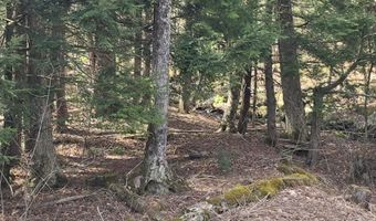 Jacobs Ladder Rd, Becket, MA 01223