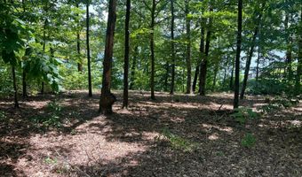 445 CO RD 3921, Arley, AL 35541
