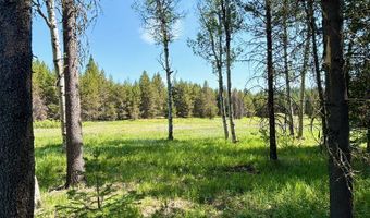 Tbd Sawtooth Loop, Cascade, ID 83611