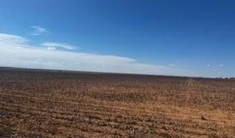 Farm To Market Rd 54, Abernathy, TX 79311