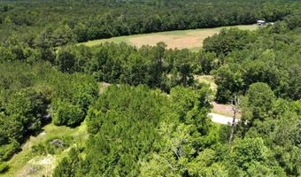 Rooks Road, Atkinson, NC 28421