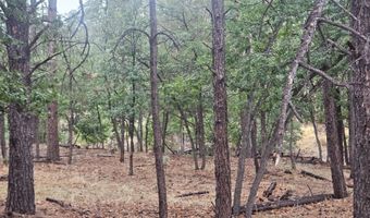 74 Lot Silvertip Trl 5, Alto, NM 88312