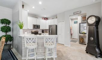 161 SHELL FALLS Dr, Apollo Beach, FL 33572