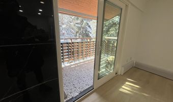 910 W Hallam St 12, Aspen, CO 81611
