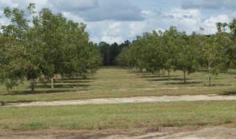 9953 Gravel Hl, Baconton, GA 31716