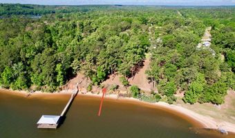 171 Lakeview Ter, Abbeville, AL 36310