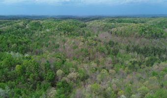 566 A Tunnel Ridge Rd, Argillite, KY 41121