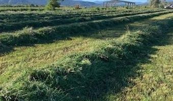 Lot 1 Highway 550, Montrose, CO 81403