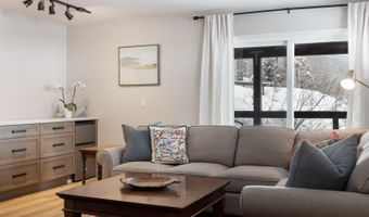 225 Daisy Ln A, Avon, CO 81620