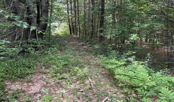 00 Simonsville Rd Lot 3, Andover, VT 05143
