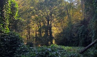 0 Lords Way, Andrews, NC 28901