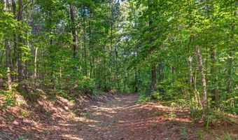 2025 Soap Creek Rd, Ball Ground, GA 30107