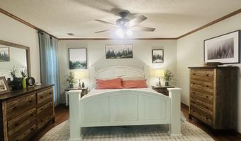 1120 Fulton St, Albertville, AL 35950