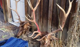 12142 Burns-Izee Rd, Seneca, OR 97873