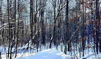 US Route 302 lot 1 2, Bartlett, NH 03812