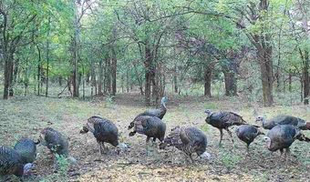 W Sun City Rd, Arlington, KS 67514