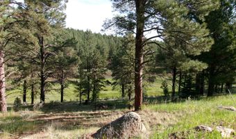 Lot 160 Valle Grande tr S, Angel Fire, NM 87710