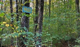 9822 Culver Brook Rd, Alder Creek, NY 13309