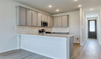 336 Bushwack Dr Plan: Cassidy, Adkins, TX 78101