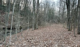 VL Lot 10 Brennan Road, Addison, NY 14801