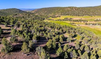 737 Raccoon Ln, Alturas, CA 96101