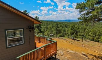 23251 Elk Trl, Aguilar, CO 81020