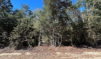 20 Ac Coot Adams Rd, Ashford, AL 36312