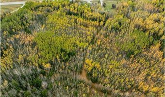 Xxx Highway 11, International Falls, MN 56649