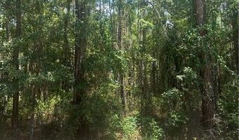 Maura Drive, Bayou La Batre, AL 36509