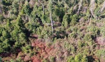 21526 NW Isoletta Ln, Altha, FL 32421