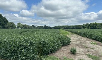 00 Nc N 903, Albertson, NC 28508