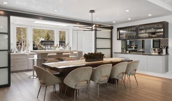 120 S Spring St 1, Aspen, CO 81611