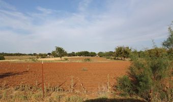 W CLINTON STREET, Archer City, TX 76351