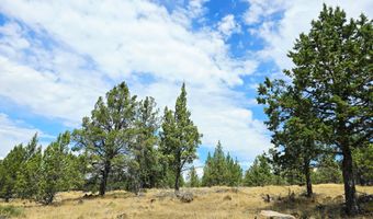 Canvasback Drive 28, Bonanza, OR 97623