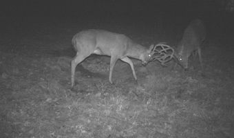 189 Th St, Albia, IA 52531