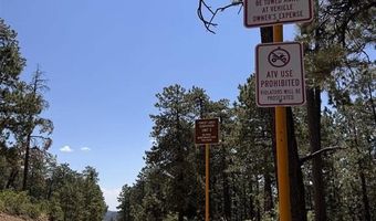 TBD Unit 3 Forest Lakes, Bayfield, CO 81122