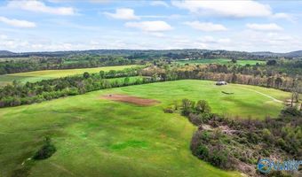 435 Sneadview Rd, Altoona, AL 35952