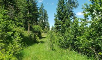 Arlee Pines lot 20, Arlee, MT 59821
