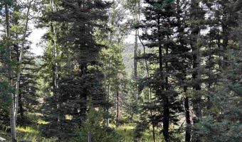 2 Back Basin Rd, Angel Fire, NM 87710