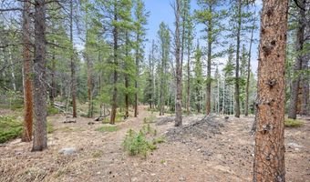 805 Lodge Pole Dr, Black Hawk, CO 80422