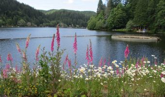 71250 NORTHSHORE Dr, Birkenfeld, OR 97016